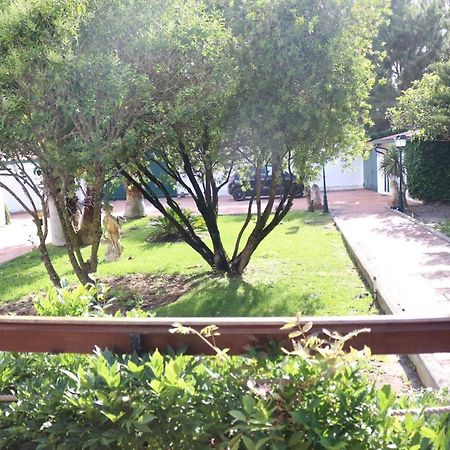 A Quinta Duna Salir de Porto Dış mekan fotoğraf