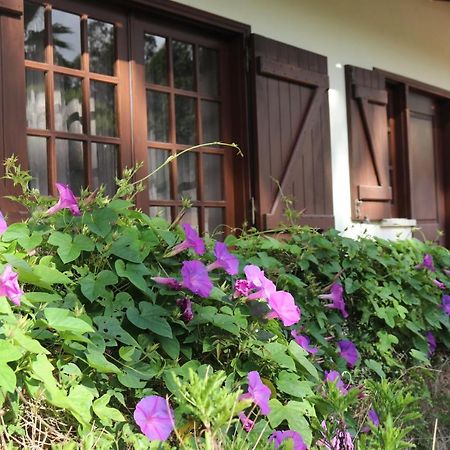 A Quinta Duna Salir de Porto Dış mekan fotoğraf