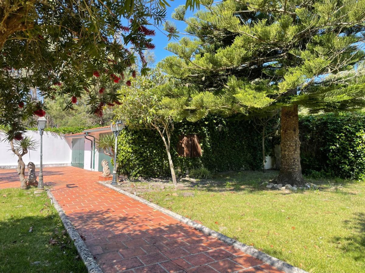 A Quinta Duna Salir de Porto Dış mekan fotoğraf