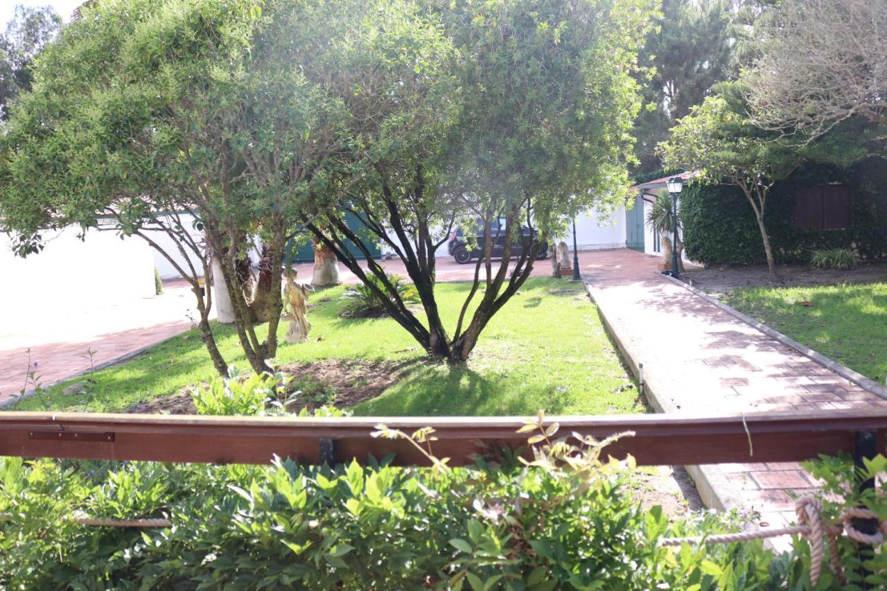 A Quinta Duna Salir de Porto Dış mekan fotoğraf