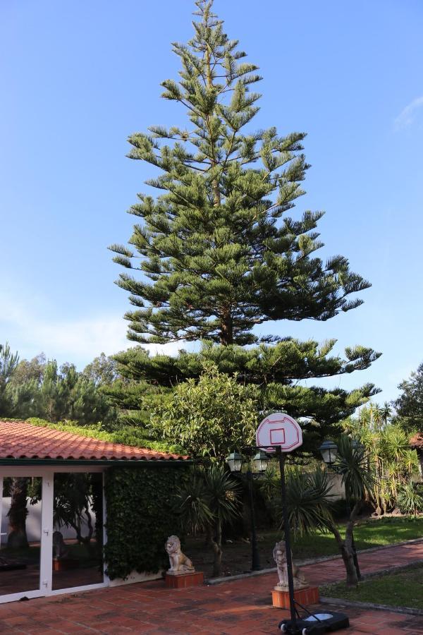 A Quinta Duna Salir de Porto Dış mekan fotoğraf